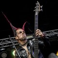 Click to enlarge GutterPunk - Professional Concert Photography